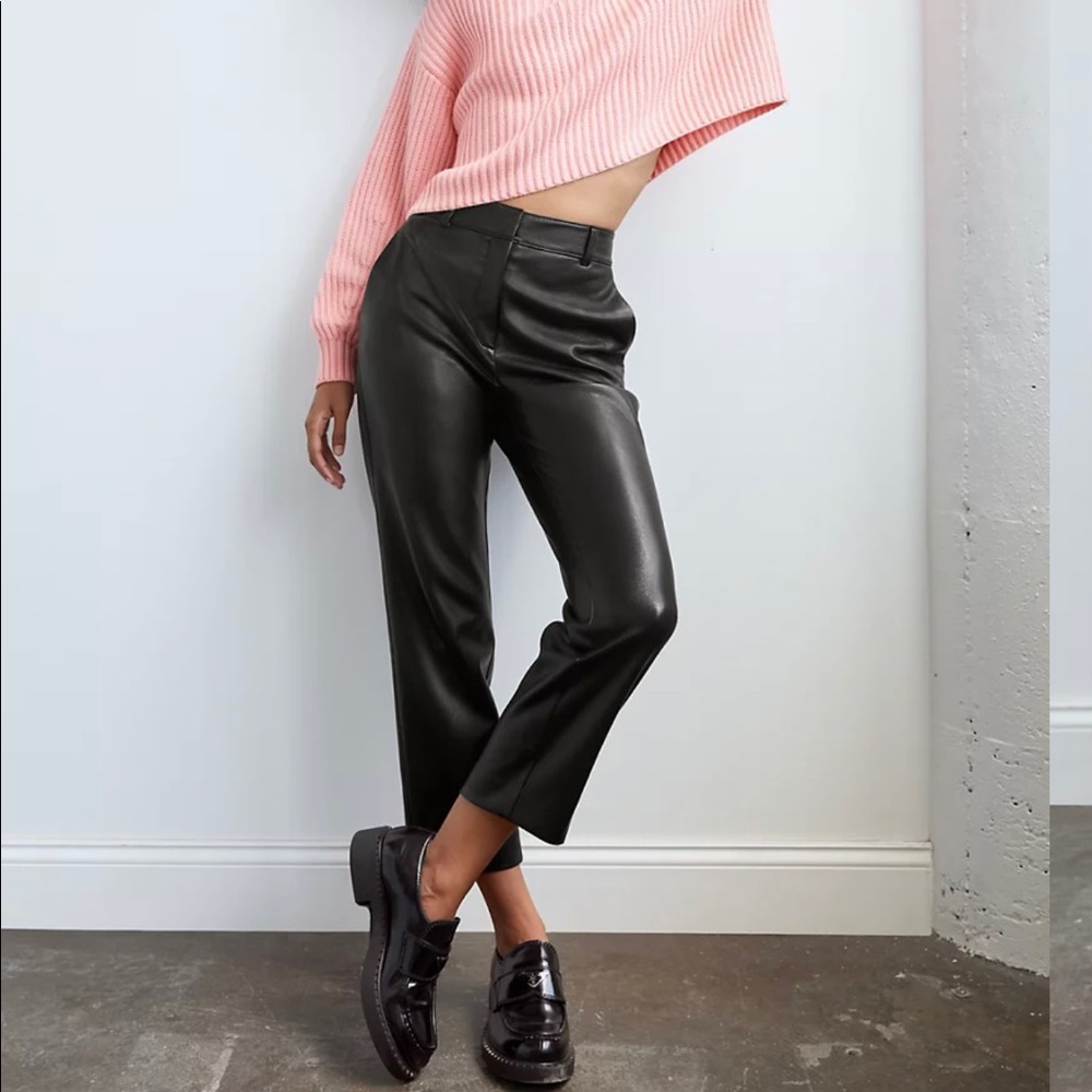 Aritzia Babaton Command Pant